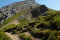 2015-07-04_2Sonnjoch (166).JPG